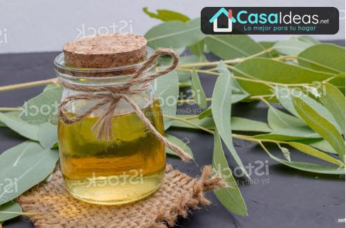 aceite esencial de eucalipto contraindicaciones