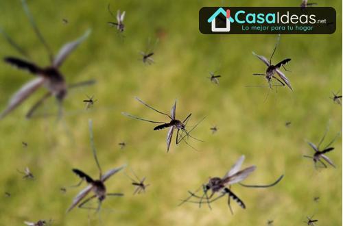 remedios caseros para controlar los mosquitos